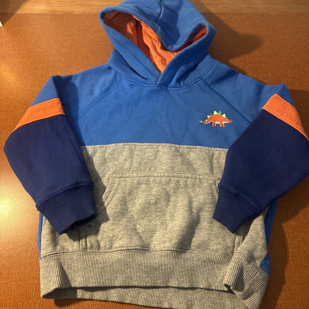 gymboree 3T boys dinosaur hooded sweatshirt